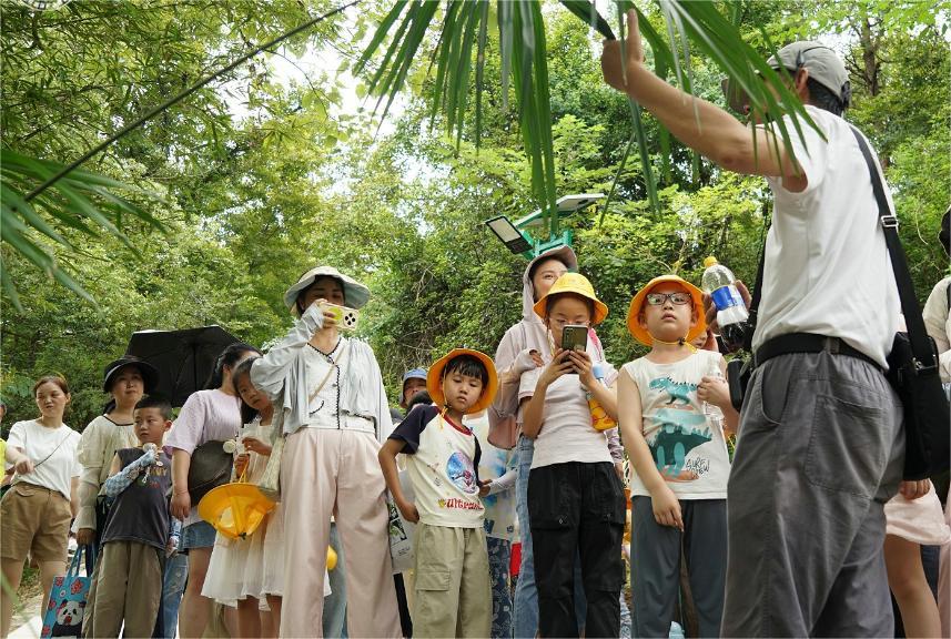 青山计划
