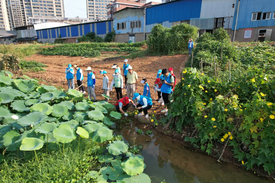 守护好一江碧水，天子湖净岸行动(图1)