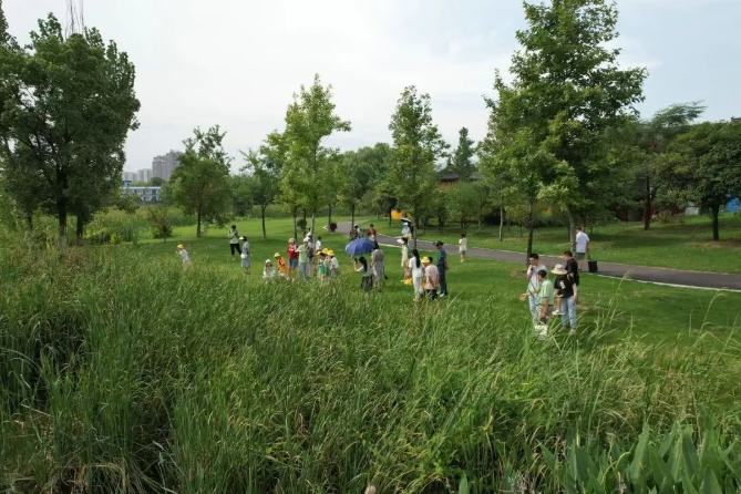 协会成功举办"湿地魔法师"亲子科普活动(图4) image.png