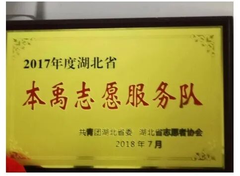 团省委复核保留协会湖北省“本禹志愿服务队”称号！(图1)