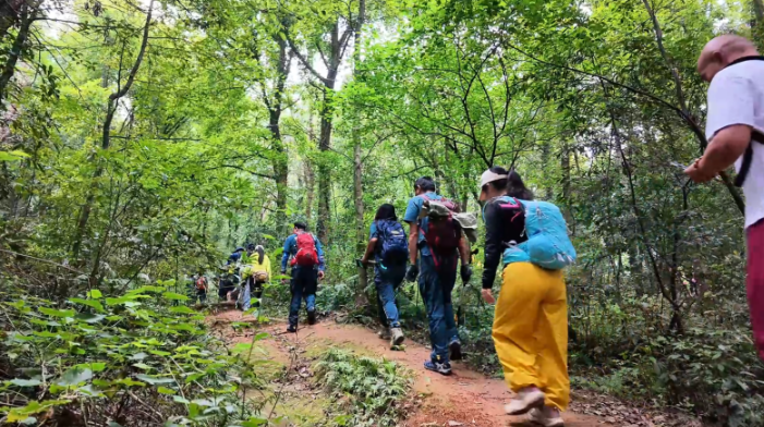 世界清洁日|无人机吊运约200公斤垃圾下山!大冶王功山来了群志愿者(图2) image.png